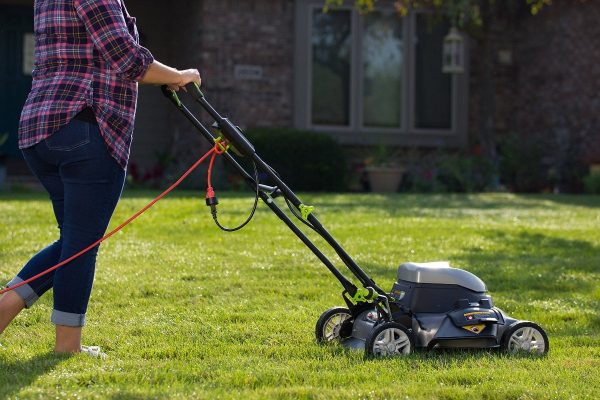 Lawn Mowing- Purchase Venture